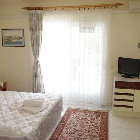 Apartment Asja